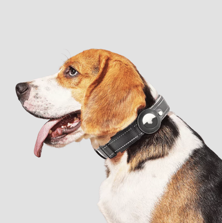 Collier noir réfléchissant pour chien avec support Airtag, réglable, en nylon léger, protection et durabilité entièrement scellées.